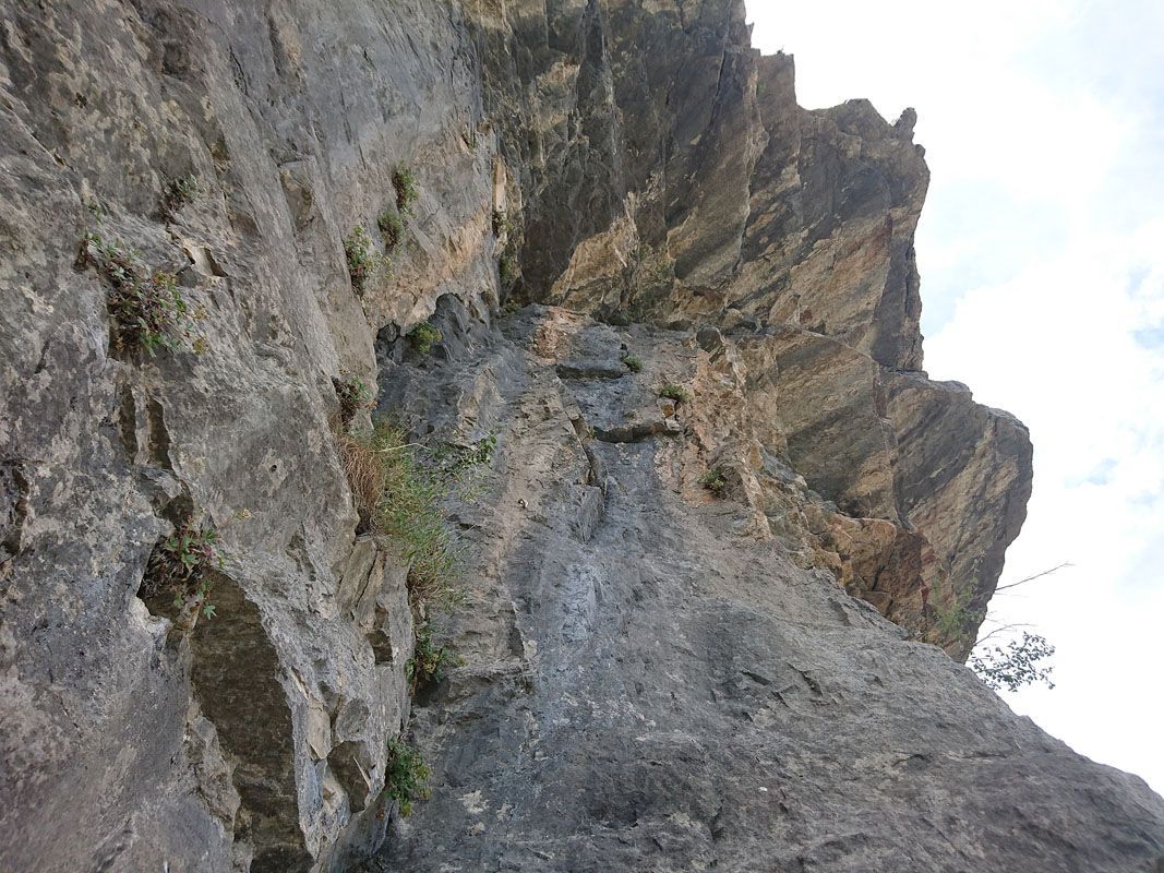 CVHM_2017_08_03_11_21_026