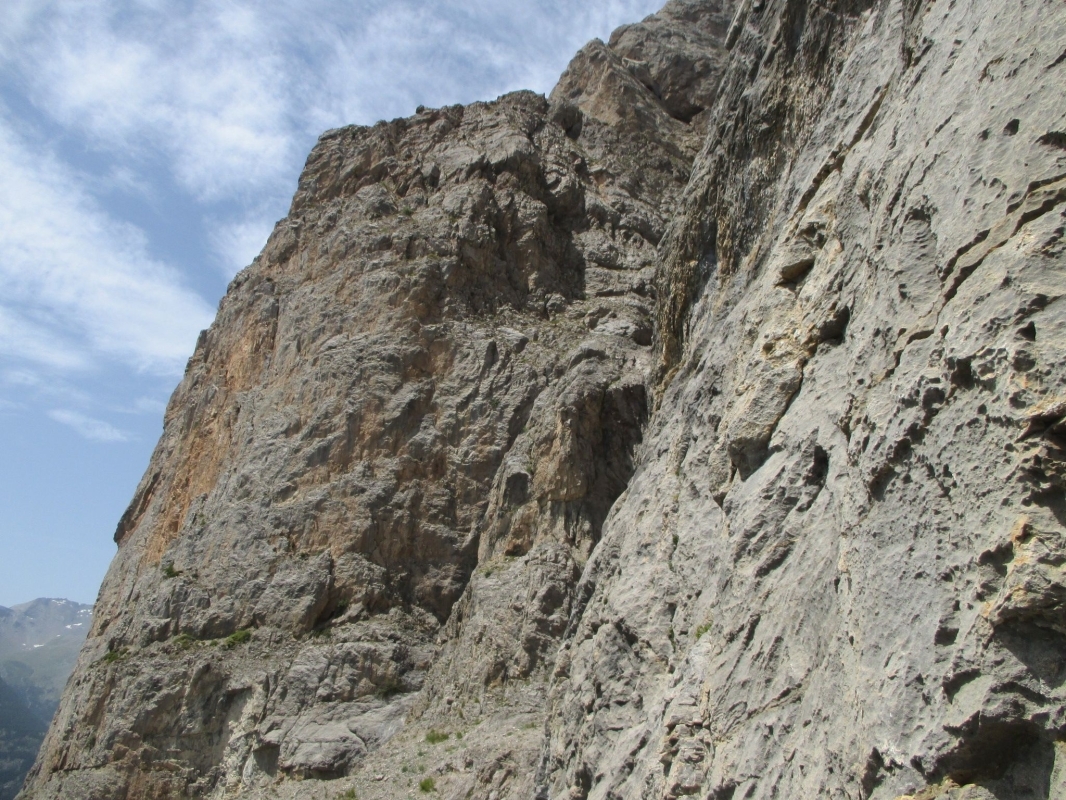 CVHM_2017_08_03_13_26_02