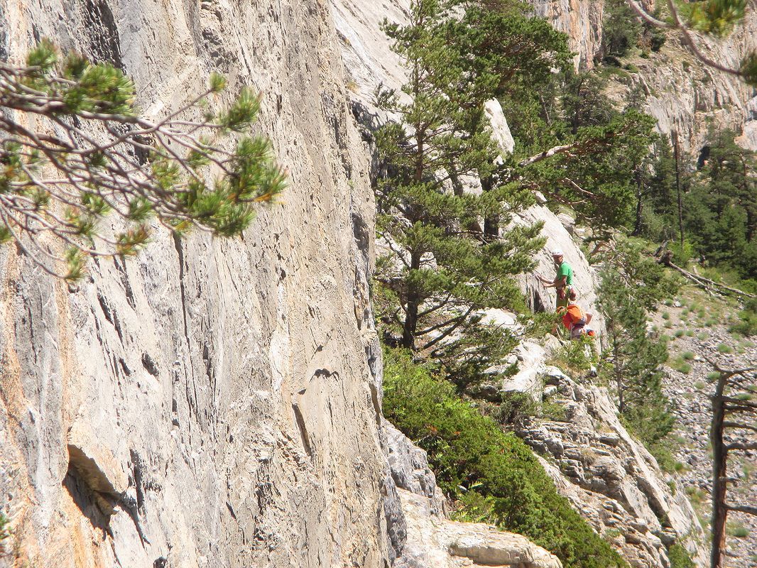 CVHM_2020_08_04_12_59