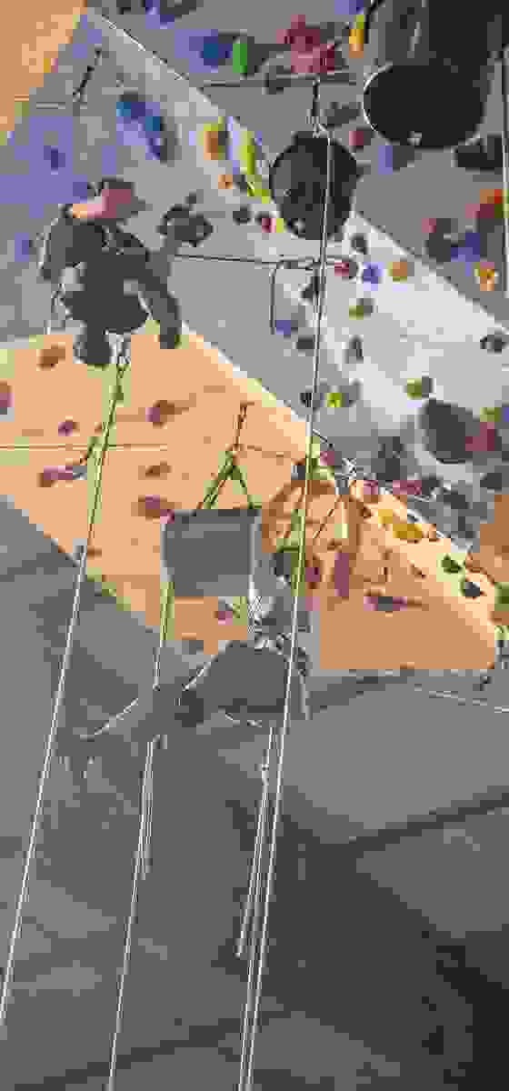 IMG-20241019-WA0005