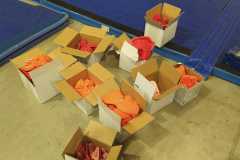 28-12-Des-nouvelles-prises-trop-bien-