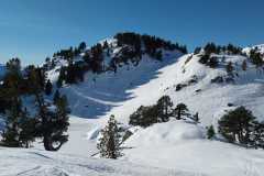 Terrain idéal pour les exercices de recherche