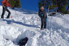 Exercice de sondage très instructif