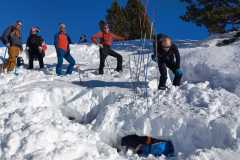 Différents types de sondage