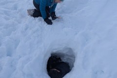 Mais ou est mon fils?