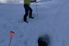 Attention ça peut piquer !