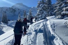 WhatsApp-Image-2026-01-11-at-15.12.04-1