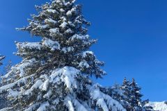 WhatsApp-Image-2026-01-11-at-15.12.05-3