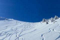 Ce champs nous tend les bras