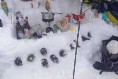 Ravito à la tête de Cuvy