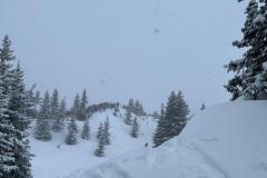 WhatsApp-Image-2026-03-14-at-16.38.45-3