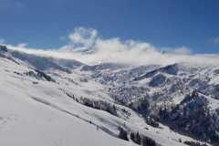 WhatsApp-Image-2026-03-15-at-16.41.04-2