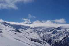 WhatsApp-Image-2026-03-15-at-16.41.05