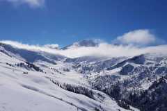 WhatsApp-Image-2026-03-15-at-16.41.06-1