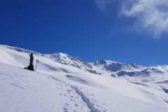 WhatsApp-Image-2026-03-15-at-16.41.06