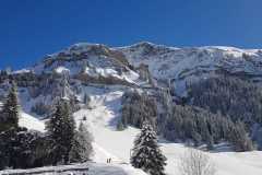 WhatsApp-Image-2026-03-15-at-16.41.07-1