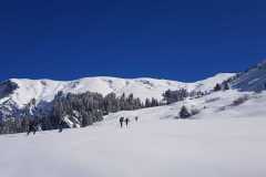 WhatsApp-Image-2026-03-15-at-16.41.07