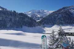 WhatsApp-Image-2026-03-15-at-16.41.09