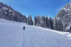 WhatsApp-Image-2026-03-15-at-16.41.10-1