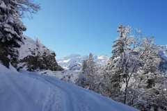 WhatsApp-Image-2026-03-15-at-16.41.10