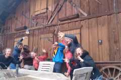 Ca peut pas être le génépi ?