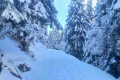 WhatsApp-Image-2026-03-15-at-18.20.56