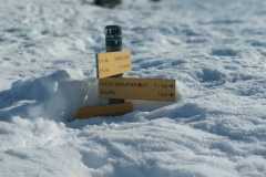 WhatsApp-Image-2026-03-09-at-07.30.41