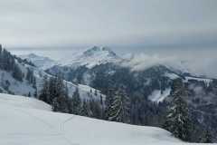 WhatsApp-Image-2026-02-15-at-15.36.21-1