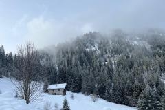 WhatsApp-Image-2026-02-15-at-17.43.07-1