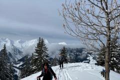 WhatsApp-Image-2026-02-15-at-17.43.11