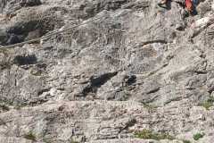 WhatsApp-Image-2026-03-10-at-18.41.13-2