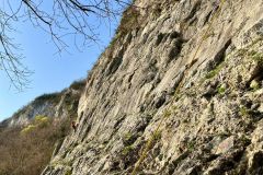 WhatsApp-Image-2026-03-10-at-18.49.02