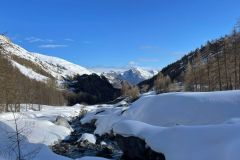 WhatsApp-Image-2026-04-05-at-13.50.27-2