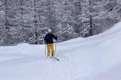 WhatsApp-Image-2026-03-15-at-17.29.34