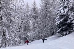 WhatsApp-Image-2026-03-15-at-17.32.47