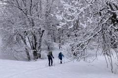 WhatsApp-Image-2026-03-15-at-17.32.48