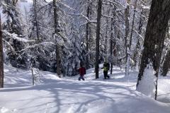 WhatsApp-Image-2026-03-15-at-17.32.51-2