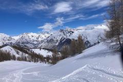 WhatsApp-Image-2026-03-15-at-17.32.54-1