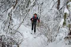 WhatsApp-Image-2026-03-15-at-17.35.40-1