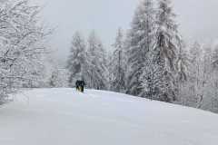 WhatsApp-Image-2026-03-15-at-17.35.40-2