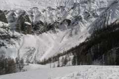 WhatsApp-Image-2026-03-15-at-17.49.57