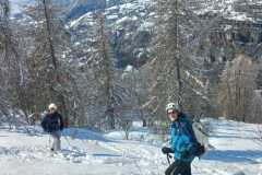 WhatsApp-Image-2026-03-15-at-17.52.46