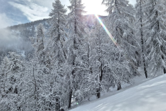 WhatsApp-Image-2026-03-15-at-17.53.43