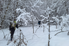 WhatsApp-Image-2026-03-15-at-17.53.51