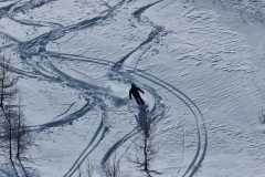 WhatsApp-Image-2026-03-15-at-20.05.30