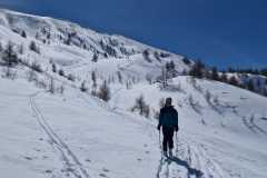 WhatsApp-Image-2026-03-15-at-20.05.33-5