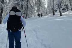 WhatsApp-Image-2026-03-15-at-20.05.34-1