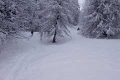 WhatsApp-Image-2026-03-16-at-07.13.48-16