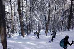 WhatsApp-Image-2026-03-16-at-07.13.48-26