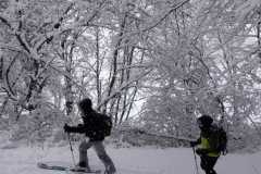 WhatsApp-Image-2026-03-16-at-07.13.48-3